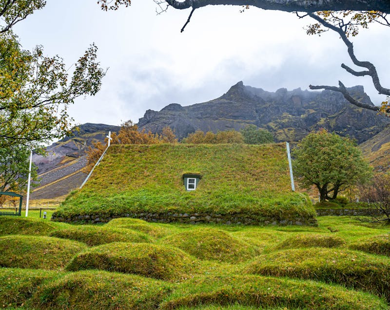 green roof